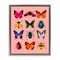 Stupell Industries Colorful Bug Species on Pink Floating Frame, design by LISH Creative